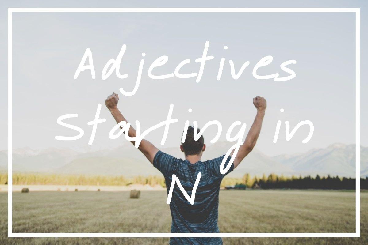 Adjectives starting in N